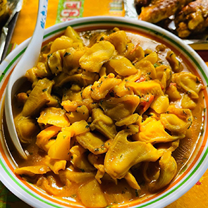 Conch (Lambi)
